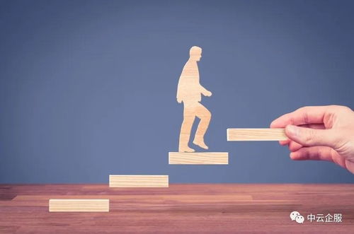 阻力與機遇并存 企業(yè)事務登記代理市場的挑戰(zhàn)與前景